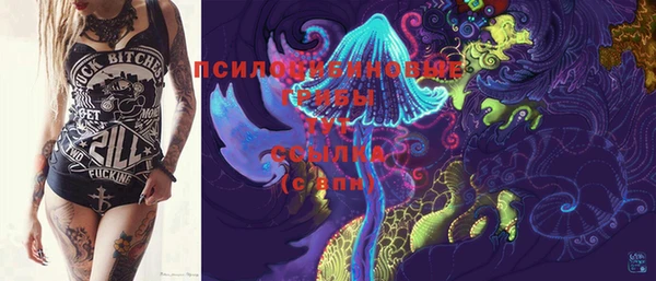 мдпв Балабаново