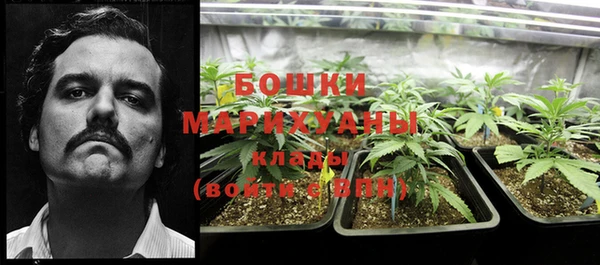 прущие крисы Баксан