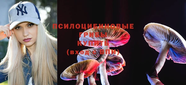 прущие крисы Баксан