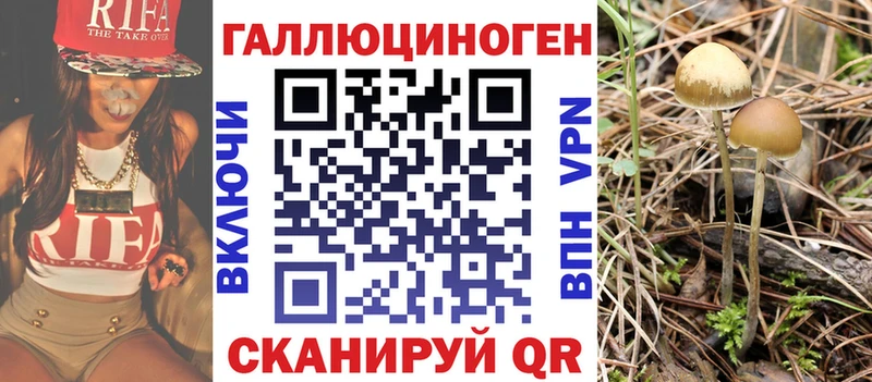 Галлюциногенные грибы MAGIC MUSHROOMS  купить наркоту  Кологрив 